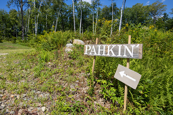 Kate Joe 2025 Wedding-2