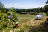 Kate Joe 2025 Wedding-10