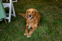 Kate Joe 2025 Wedding-15