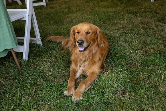 Kate Joe 2025 Wedding-15