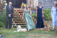 Kate Joe 2025 Wedding-371