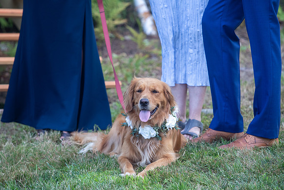 Kate Joe 2025 Wedding-369