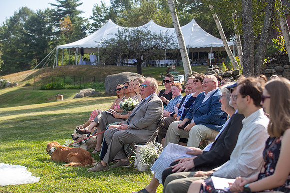 Kate Joe 2025 Wedding-425