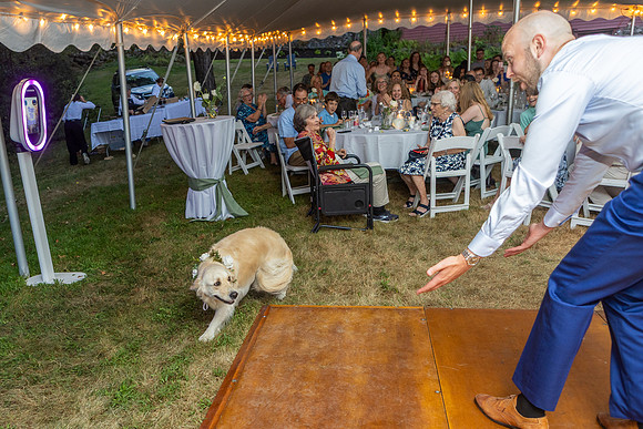 Kate Joe 2025 Wedding-960